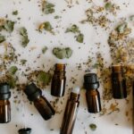apprendre les plantes médicinales