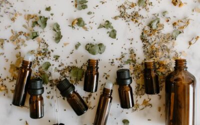apprendre les plantes médicinales
