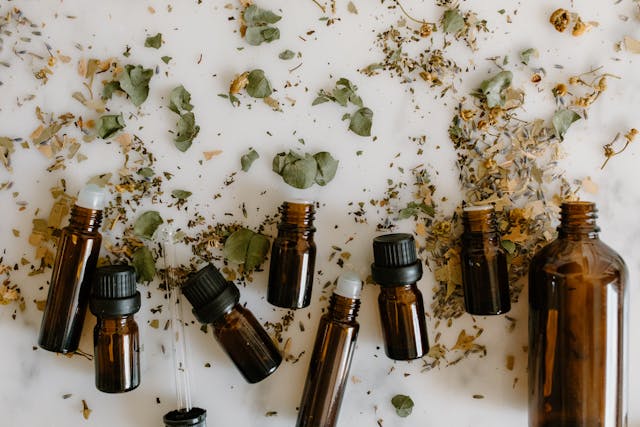 apprendre les plantes médicinales